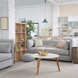 240_F_205703370_cdgaQw8I6ZxvIJ1I6LK3Vr3XbjzH3zWW-1-qgcyjv7ts53zn87dslhcoo8a7rm3a67ti7re6oxvp4